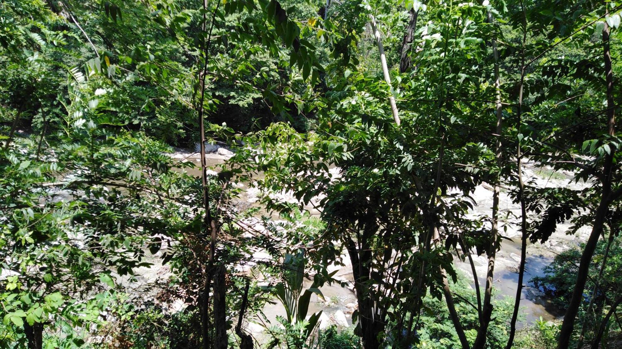 Sierra Tayrona Hostel El Zaino Exterior foto
